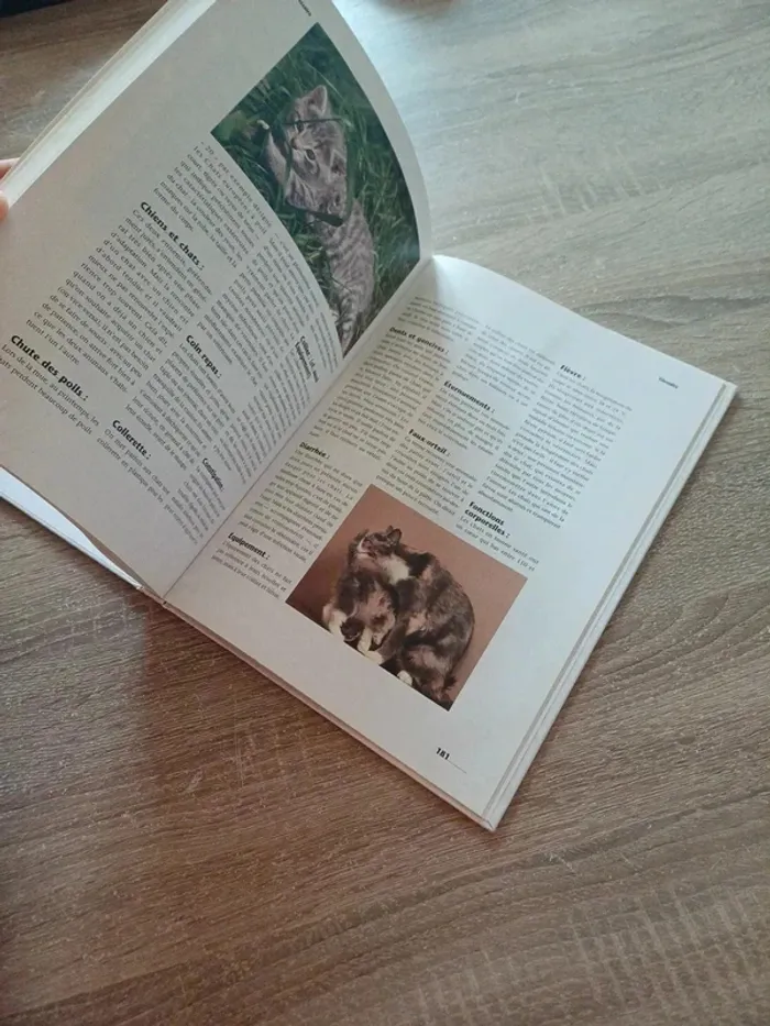Livre " les chats , ces compagnons de jeu aux pattes de velours " - photo numéro 8