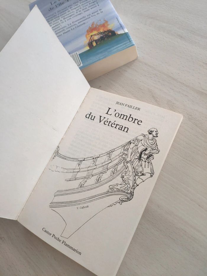 Lot deux livres jeunesse Failler l'ombre du vétéran seigneur de l'île Tristan Castor poche senior - photo numéro 3