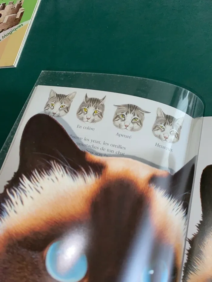 Livre enfant : Les chats - photo numéro 2