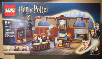 LEGO Harry Potter 76442 Le château de Poudlard : le cours de sortilèges