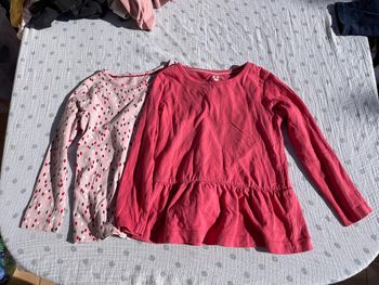 Lot tee shirt 2/4 ans lupillu