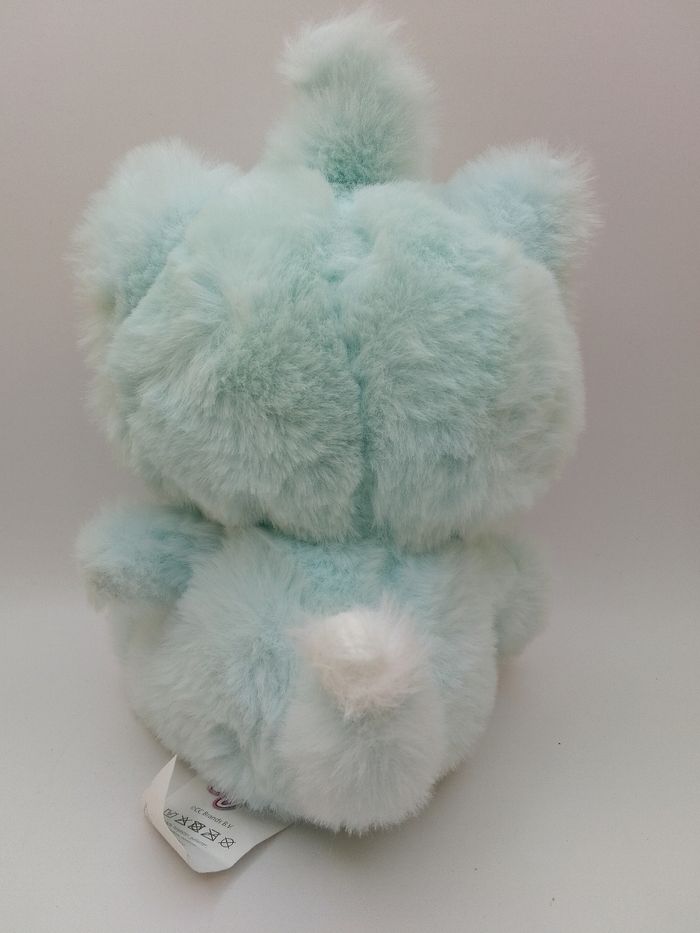 Chat turquoise - photo numéro 2