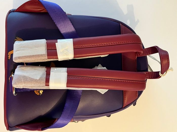 Sac à dos Loungefly Disney la bête aux oiseaux - photo numéro 5