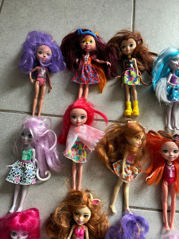 Lot 20 poupées enchantimals - photo numéro 2