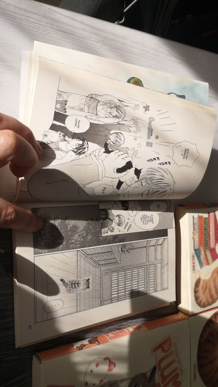 Lot manga "Plum" - photo numéro 3
