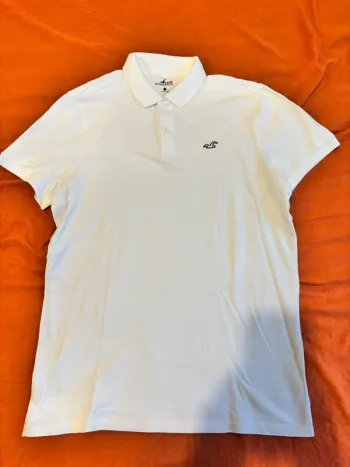 Polo Hollister