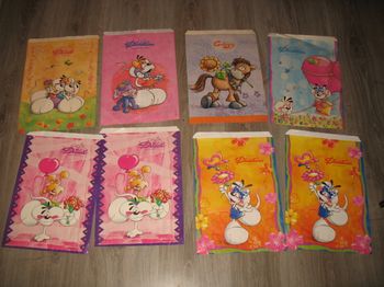 LOT DE 8 GRANDES POCHETTES "DIDDL" - NEUVE - n°12