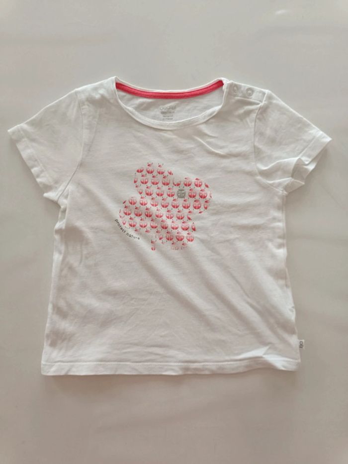 T-shirt coccinelle 🐞