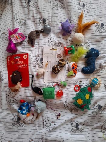 jouet pour chat hippocampe