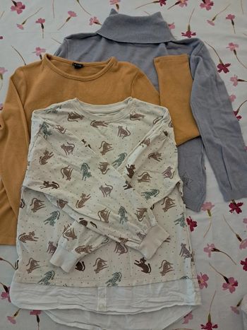 Lot de 3 jolis pull / sweat fins et agréables à porter, couleurs douces - 10 A - Kiabi, La Halle