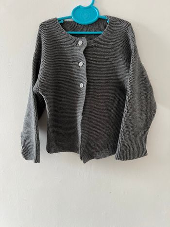 Gilet gris