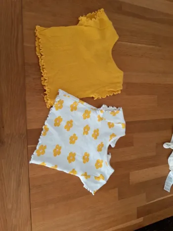 Lot de 2 t shirt bebe fille