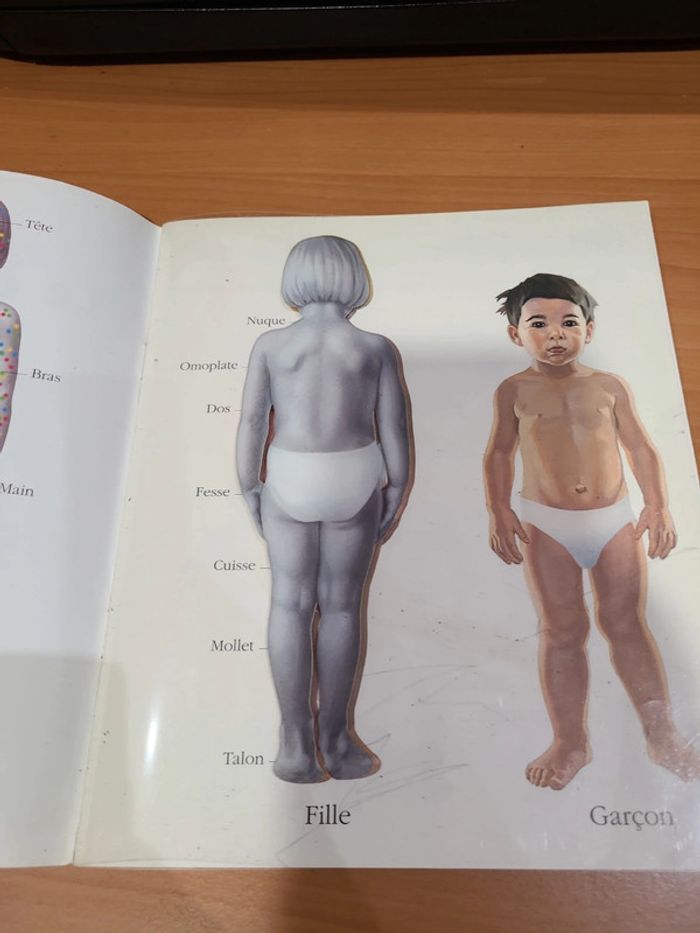 Cache cache avec corps humain - photo numéro 5