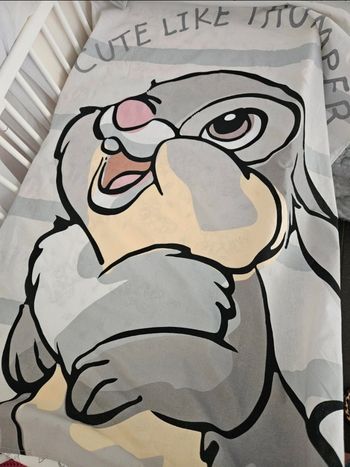 2 Draps de matelas Panpan