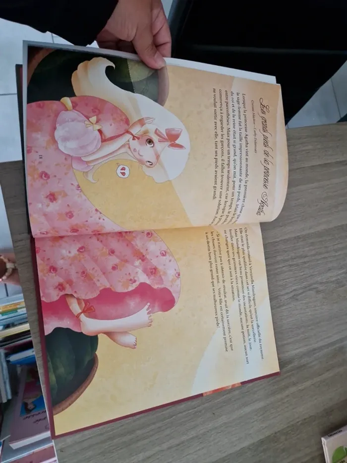 Livre de princesses - photo numéro 6