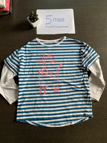 Tee-shirts manches longues taille 5 ans