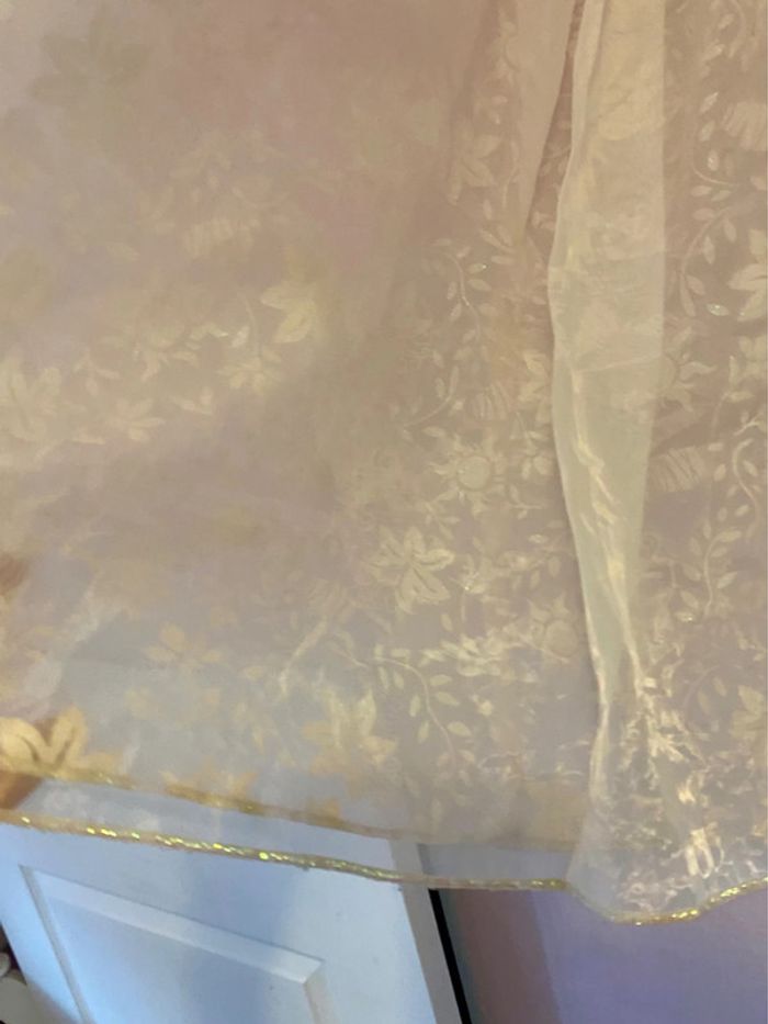 Robe Rayponse 6 ans Disneyland - photo numéro 5