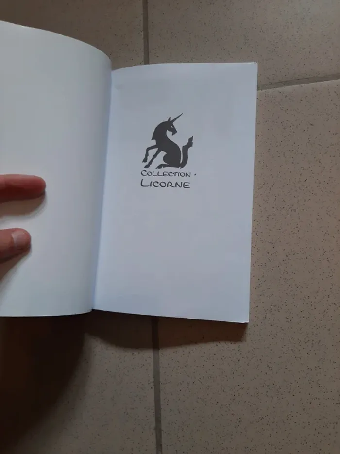 Livre sgan les secrets de l anneau - photo numéro 4