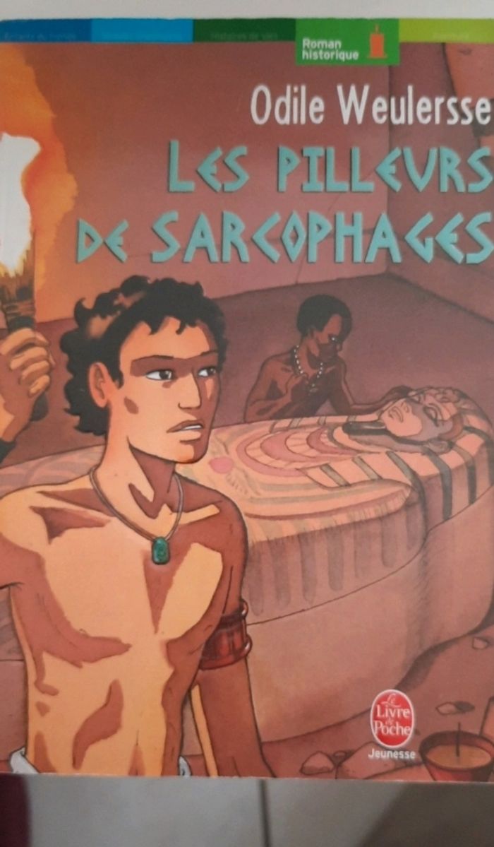 Livre Les pilleurs de sarcophage