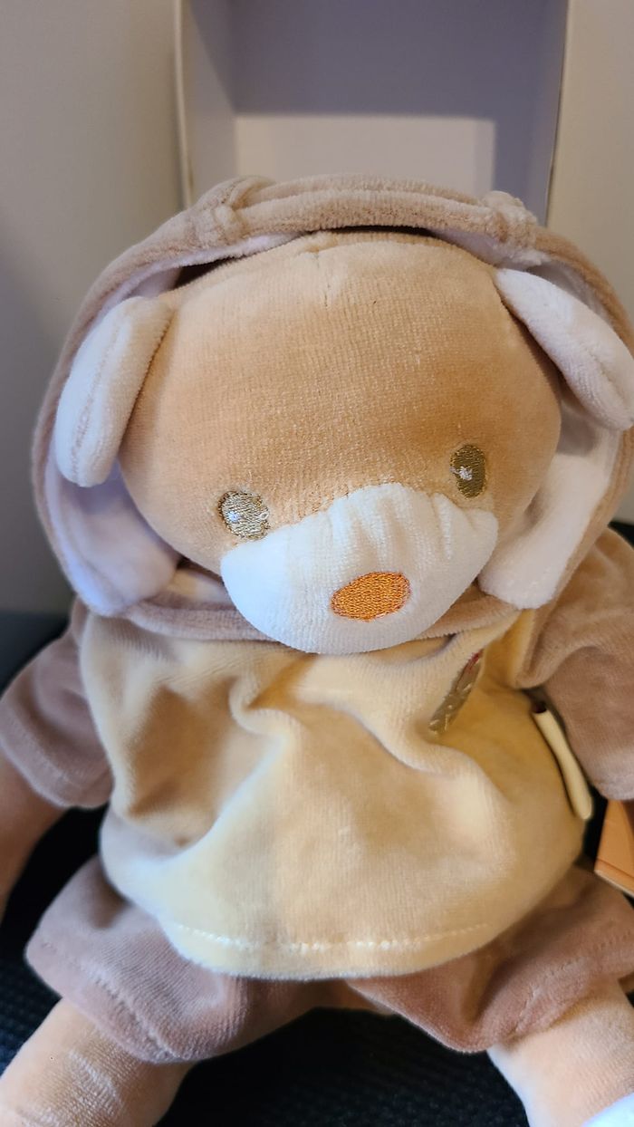 doudou ours - photo numéro 4