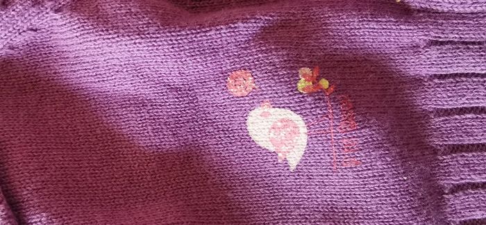 Gilet violet - photo numéro 2