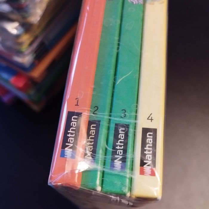Lot de 4 Livres enfant Nathan T'choupi - photo numéro 5