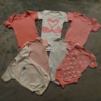 Lot bodies manches courtes