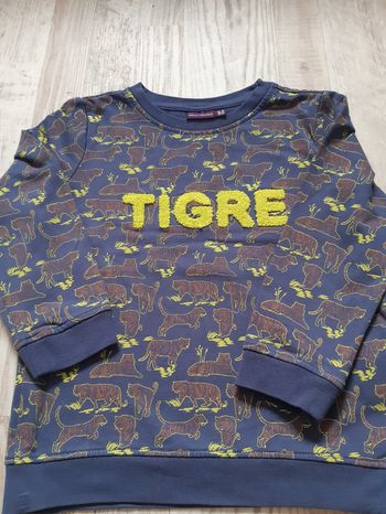 Sweat sergent major tigre