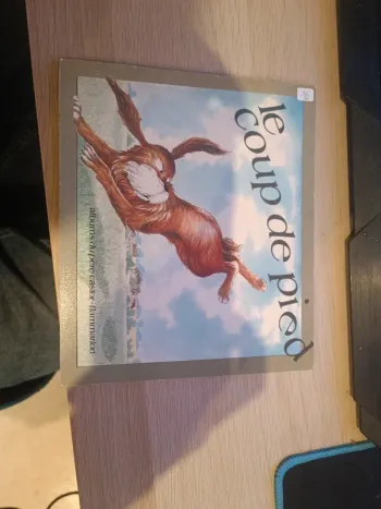 Livre le coup de pied, père castor 1979