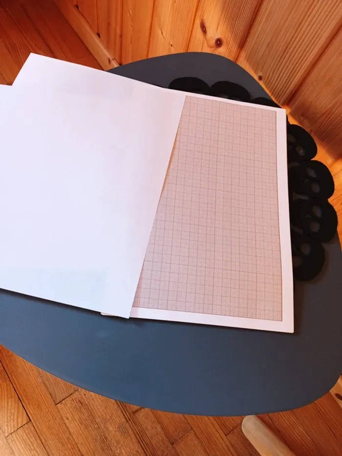 Lot de 16 Feuilles de papier millimétré Canson - photo numéro 4