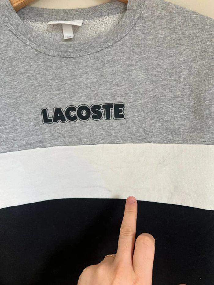 Sweat Lacoste tricolore - photo numéro 7