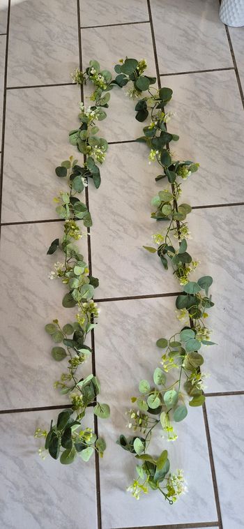 Guirlandes eucalyptus 