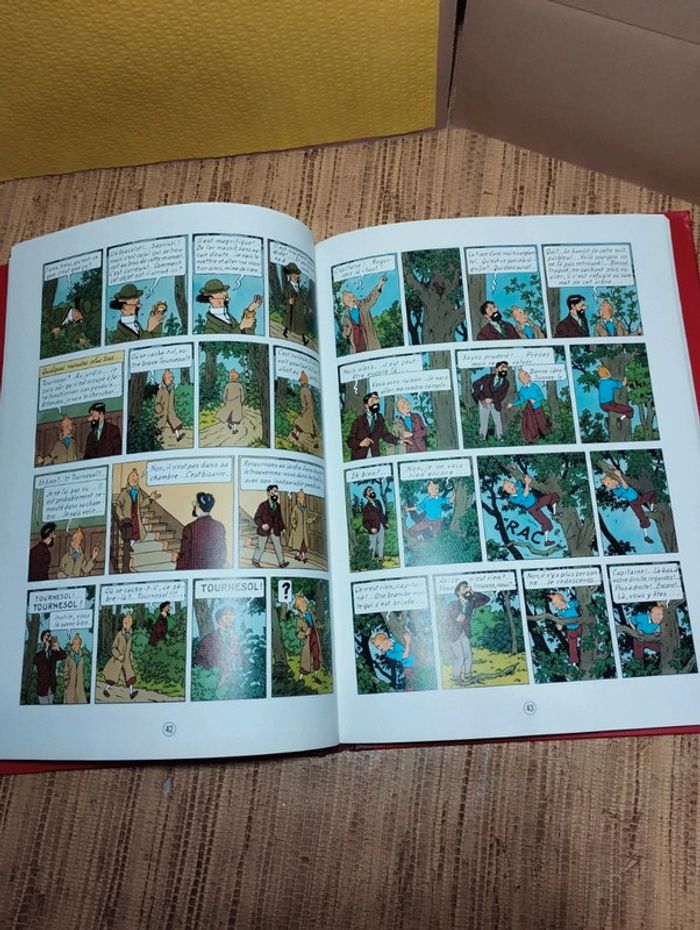 Les aventures de Tintin club France loisirs 2007 Casterman - photo numéro 5