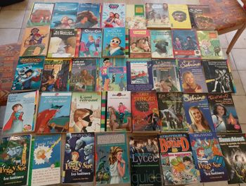 Lot de 40 livres divers (1)