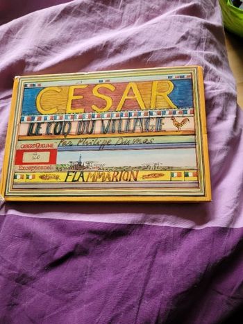 César le coq du village