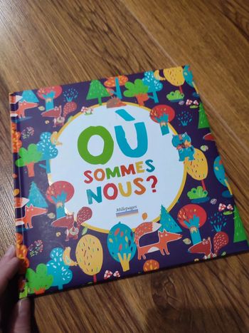 Livre Ou sommes nous?