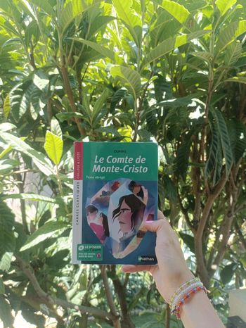 Livre le Comte de Monte-Cristo de Dumas.