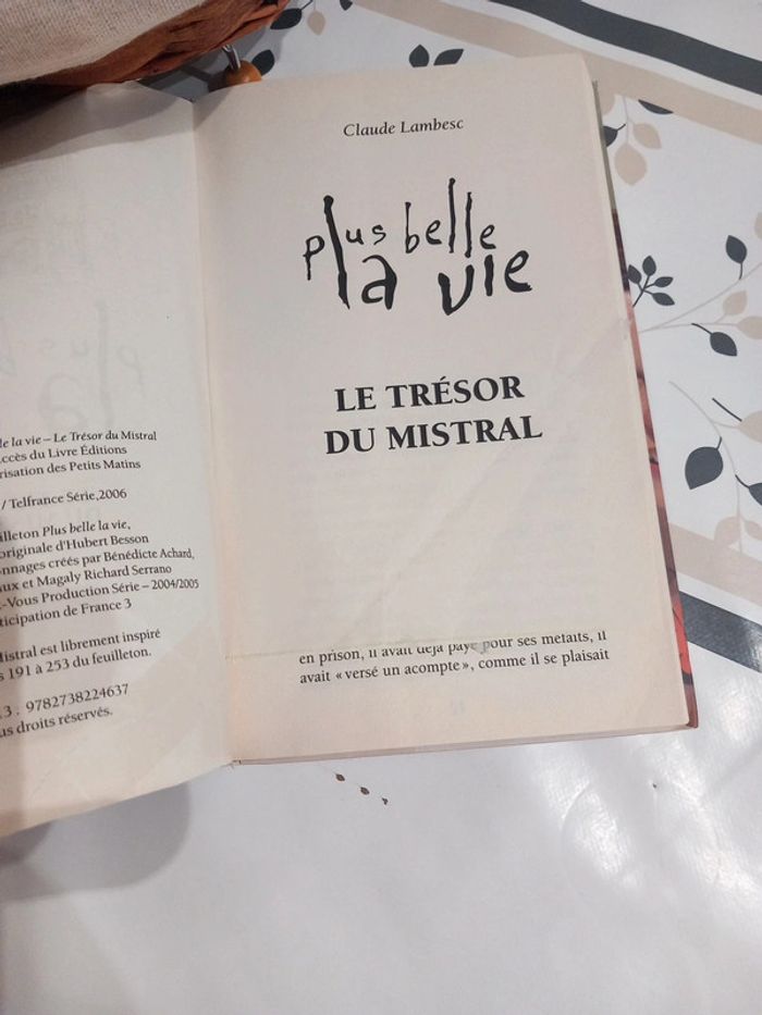 Livre Plus belle la vie - photo numéro 4
