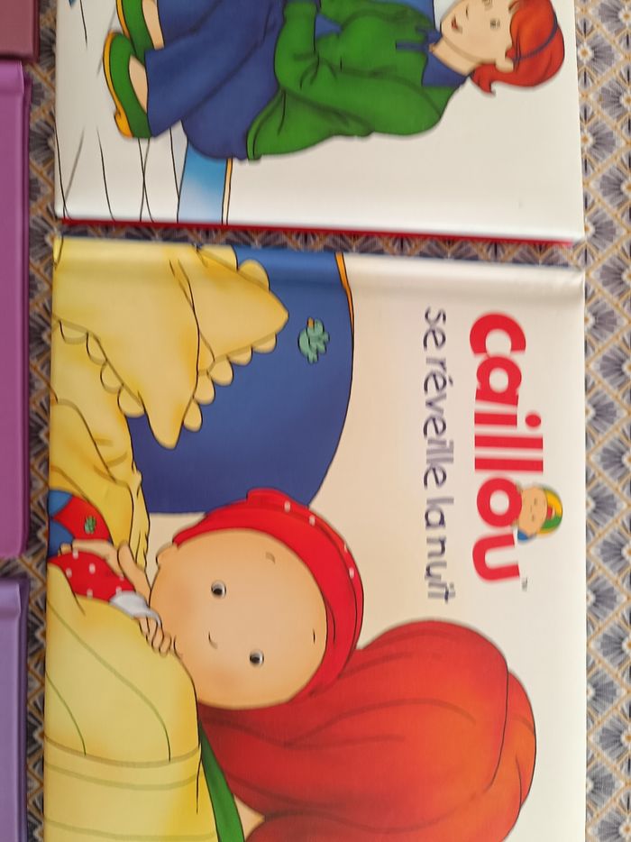 Lot de livres - photo numéro 9
