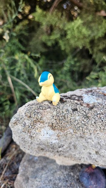 Super figurine Pokemon Nintendo hericendre