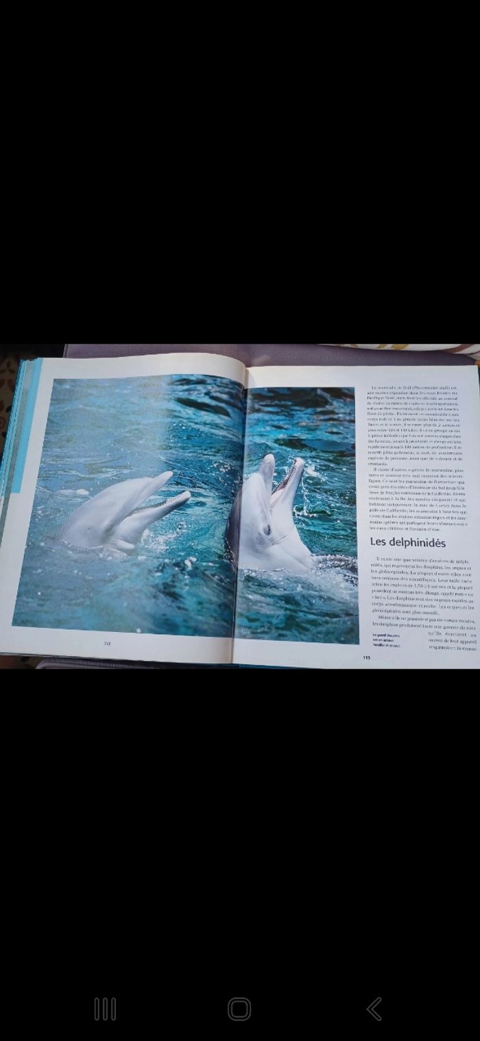 Livre encyclopédie Mers et Fonds marins - photo numéro 8