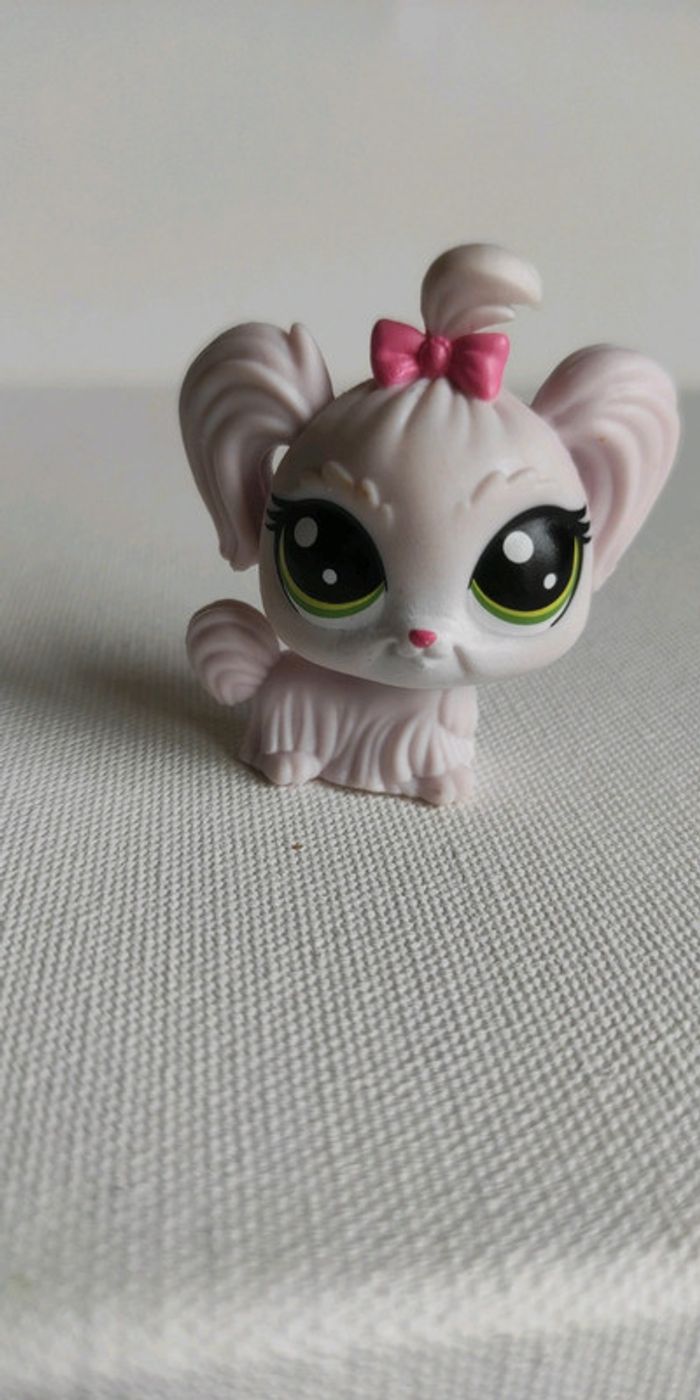 My littlest petshop chien bichon maltais 1-110 duchesse malteaser