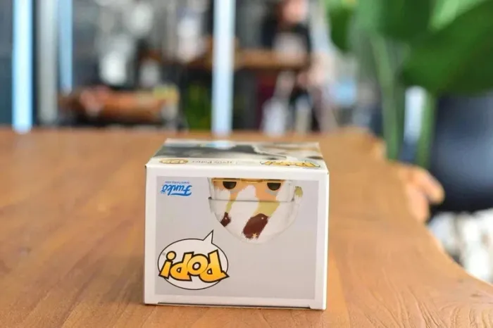 pop dumbledore 125 diy - photo numéro 6