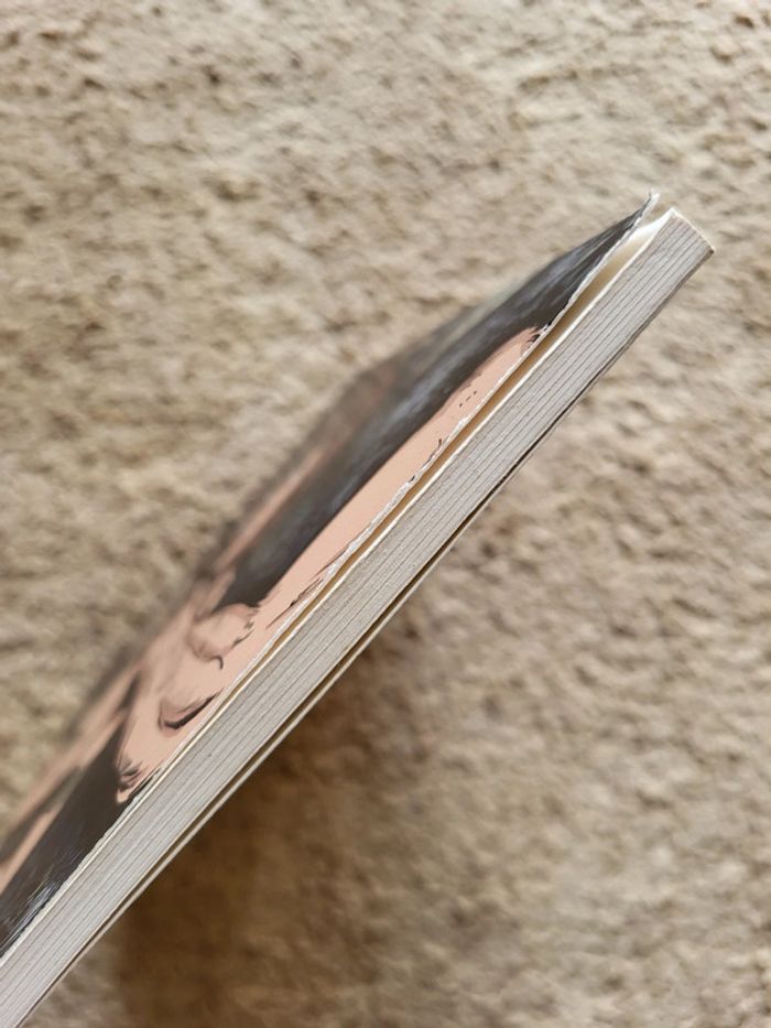 Lot de 2 BD Sathaden Tome 1 Le rite de passage et Tome 2 Le temple du corbeau - photo numéro 4