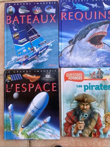Lot de 9 livres enfants 4/8 ans