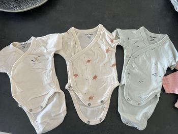 Lot de 3 bodies