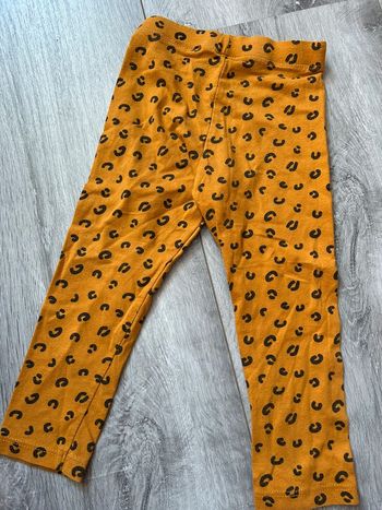 Legging 24 mois