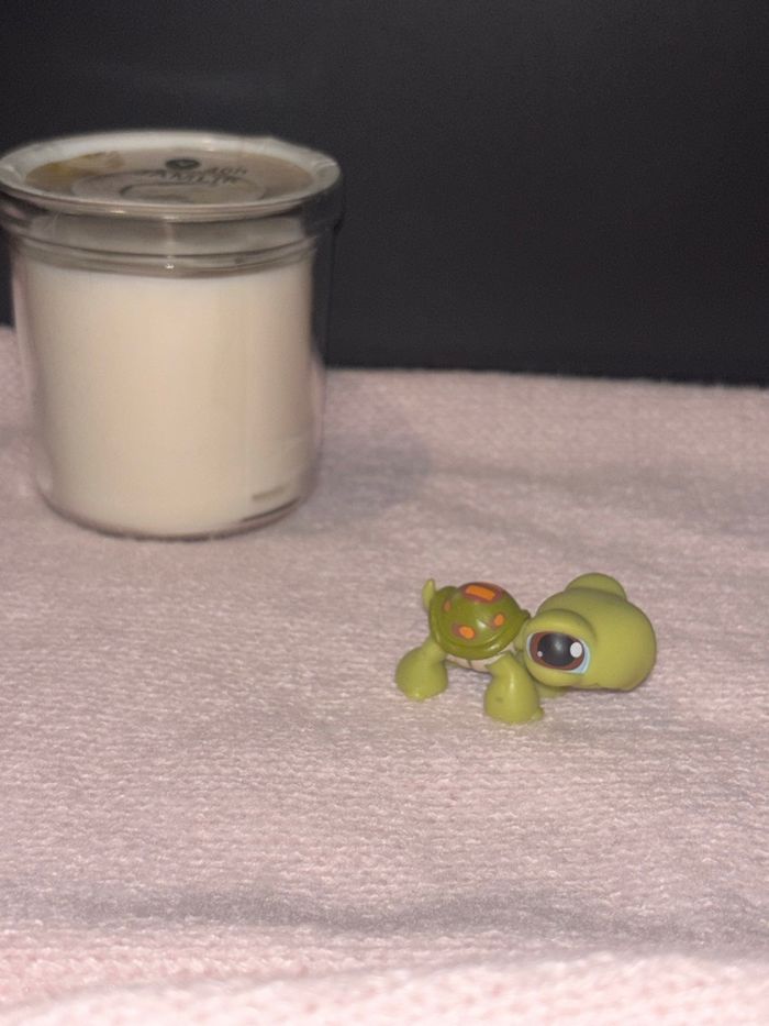 tortue #8 - photo numéro 3