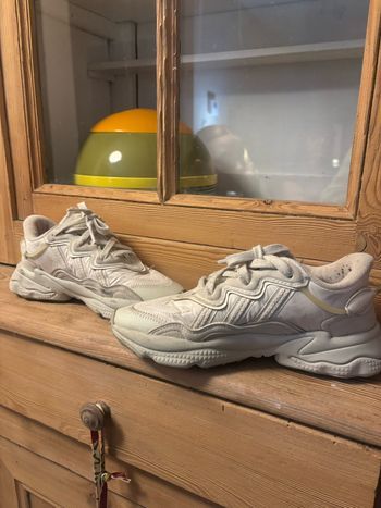 Basket adidas