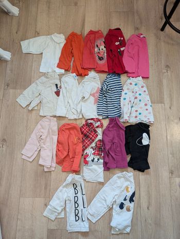 Lot 17 tee-shirt manches longues 12 Mois 74cm
